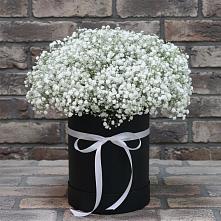 Цветочная композиция из Гипсофила в шляпной коробке #REPLACE_PRED# Великоархангельском