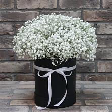 Цветочная композиция из Гипсофила в шляпной коробке в Великоархангельском